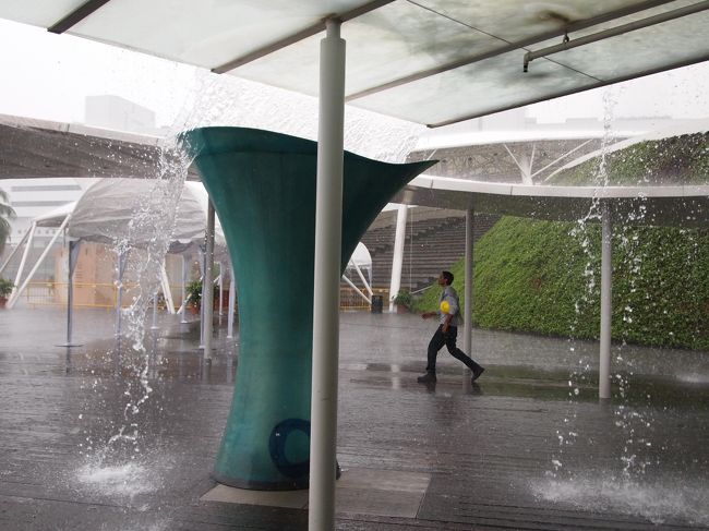雨…！！<br />しかも超土砂降り（笑<br /><br />仕方ないので、USSは翌日に変更、最終日のプランをこの日につっこむことに。<br />でも、せっかくビボ・シティに来たのでちょっと散策。<br />ガイド本に載っていた雑貨のお店がビボ・シティだったので探したんですが…閉店してた…orz<br />東南アジアに行くと、大体ガイド本に載ってて行きたい！と思った店が1〜2店舗ぐらいは閉店してるんですが…そんなもんなんですかね…。<br /><br />変わったお店では、ナショジオのお店がありました。初めて見たーーーーー！！！写真撮影禁止だったので撮れなかったのが残念だけど。<br /><br />少しうろうろして、シンガポール国立博物館へ移動開始…！
