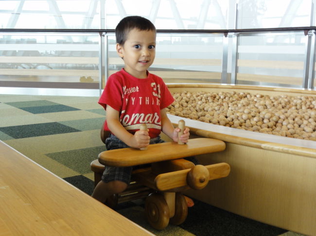 木のおもちゃ多いです。<br />絵本も、日本語のと英語のがありました。