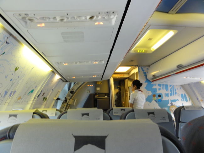 機内には、不思議な柄（絵？）がいっぱい書いてあった。<br />シートのピッチは特に狭くもないと思う。