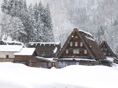 雪の五箇山菅沼集落
やはり、合掌造りには雪が似合います。