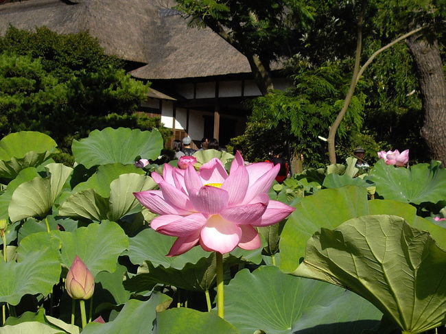 後ろは鶴翔閣。