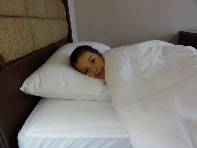 長男はダウンしてしまい、病院に連れて行きました。<br />家族セットの海外旅行保険に入っていて良かったです。<br />９日間で家族４人で７千円程度でした。<br /><br />ちゃんと通訳さんも一緒についてくれて、病院までのタクシーの送り迎えから支払いから何から何までやってくれました。