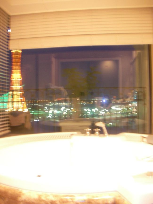 夜はこんな感じ。