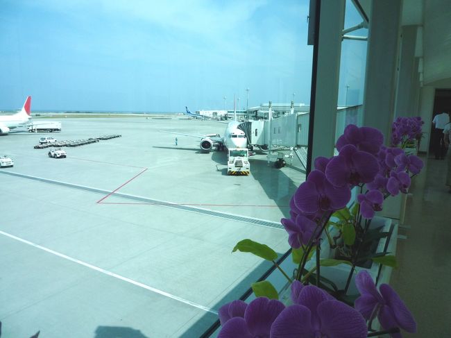 ちっちゃい飛行機に乗って約１時間。。