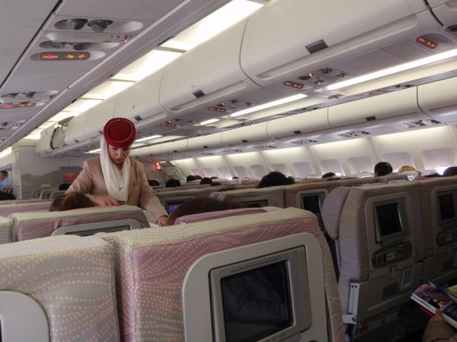 エコノミーでのサービスがはじまります。