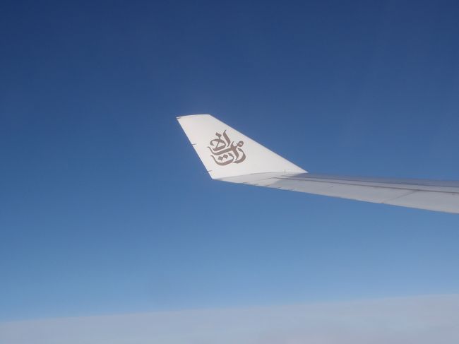 ウイングレット