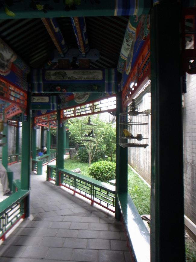 Solux Sunshine Courtyard Hotelに2泊。<br />Hotels.comの特別料金ダブル1泊3000円の部屋で、四合院風の方ではなくビルの中だったけど、まあこの値段で文句はないかなと。<br />レンタサイクルがポンコツなのに1日５０元は高すぎる気がしたけど、夜中までめいっぱい使えたからまあいっか。<br />