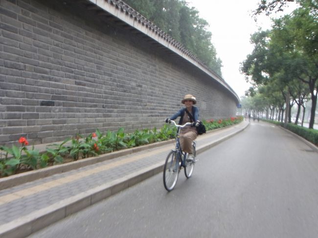 たいていの道では、車道や歩道とは別に自転車道が整備されていて、かなり快適。坂もないし、地下鉄やバスは混み混みだし、タクシーもなかなかつかまらないので、自転車はかなりオススメ。