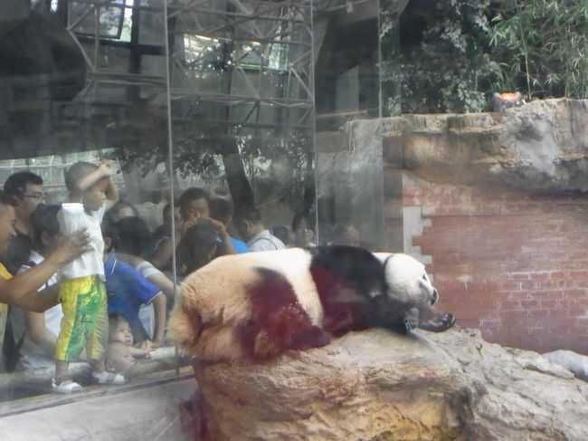 北京動物園、入園料とパンダ園は別料金でした。。<br />パンダ、まあまあでした。みんな寝てるんで。