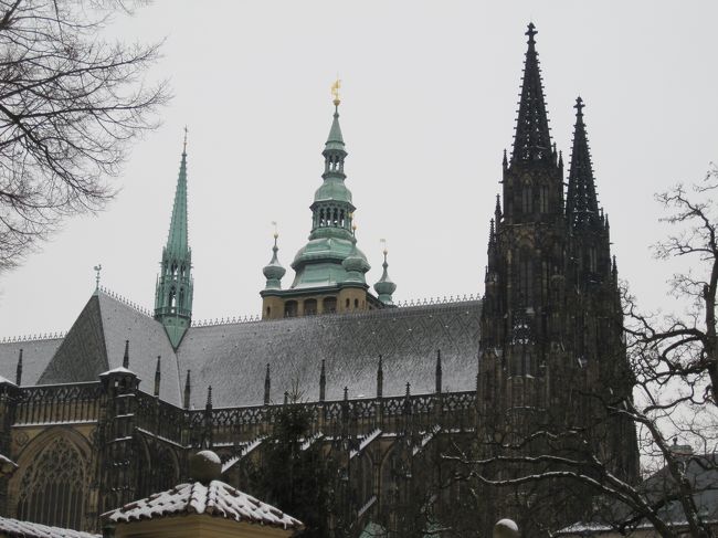 防寒完璧にしてきて良かったです。