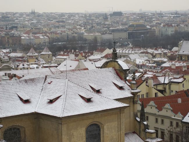 厚着し過ぎたかな？歩いたら暖かくなってきました（＾＾；