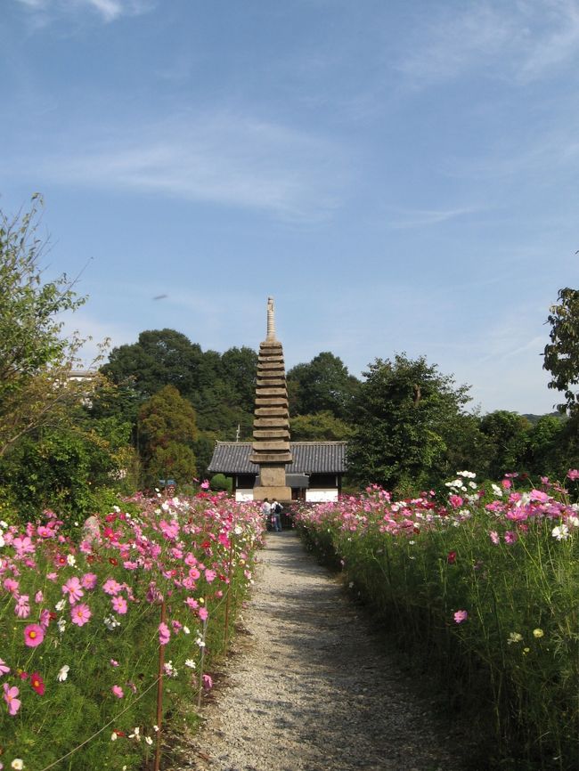 気を取り直して、楼門を背にして十三重塔。<br /><br />塔の背後にある宝蔵堂で白鳳仏が特別拝観されているという。<br />せっかくなので、特別拝観料200円を払って白鳳仏にお目にかかってきました。