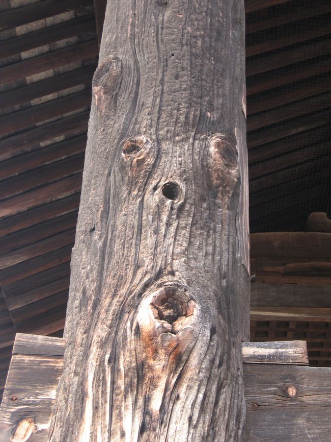 「天平時代の柱だわ〜」<br />と遥か昔を思い感動する孝謙さんでした。<br /><br />この柱、目と鼻と口・・人の顔に見える(^^;)