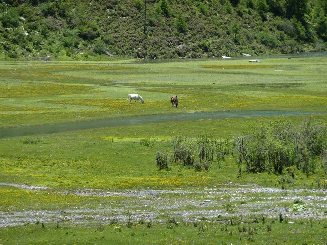 花海子という湿地まで歩きます。<br /><br />http://blog.livedoor.jp/qz2010il/archives/1352992.html<br />