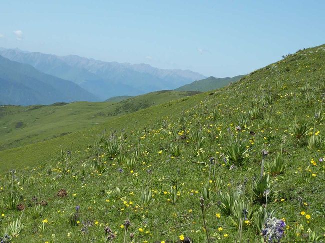 花と山を眺めながら昼食。<br /><br /><br />http://blog.livedoor.jp/qz2010il/archives/1352960.html<br />