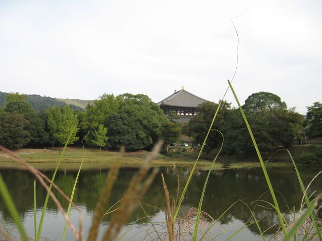 転害門から東大寺に入ります。<br /><br />大仏池から大仏殿の屋根を見て。<br />「ここから東大寺に入るの初めて♪」<br />と喜ぶ孝謙さん。