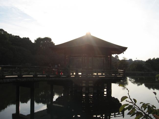 友達と一緒だと写真をあまり撮れないので、いきなり飛火野になります。<br /><br />今日はかなり歩きました。<br /><br />般若寺〜東大寺。<br />東大寺境内を突っ切り春日大社から浅茅が原、飛火野へ。<br />数年会えなかった穴埋めをするようにおしゃべりに花を咲かせながら歩いたのでなんとか歩けたものの、孝謙さんの足は痛くなるし、私の足の指は擦れて血が出てきました。<br /><br />鷺池の浮見堂で足を休めます。