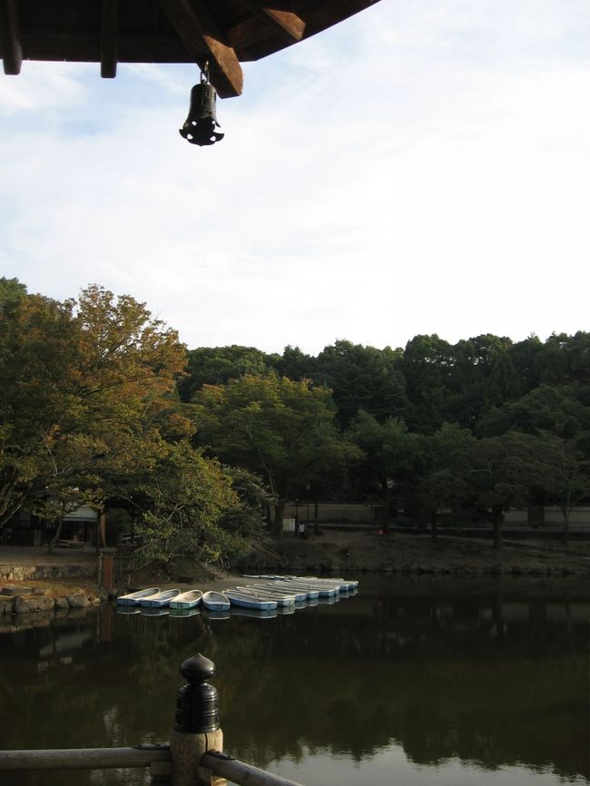 浮見堂の椅子に座り、夕風に身を任せながら思い出話しや近況報告に話しは尽きません。<br /><br />私が覚えていることは孝謙さんは覚えていず、孝謙さんの覚えていることは私はすっかり忘れているのでひとつひとつ再確認。<br /><br />彼女とはこの近くの元興寺極楽坊がまだ宿坊をやっていた頃、何回も泊まった仲なので、奈良の思い出話しの種も尽きないのです。