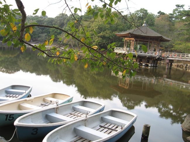 10月の鷺池。<br /><br />ボートは手持ち無沙汰に浮かんでいます。<br /><br />9月に奈良に来た時は猛暑のさなかですぐへたばってしまいましたが、10月の奈良は気持ちが良いくらいスイスイ歩けます。