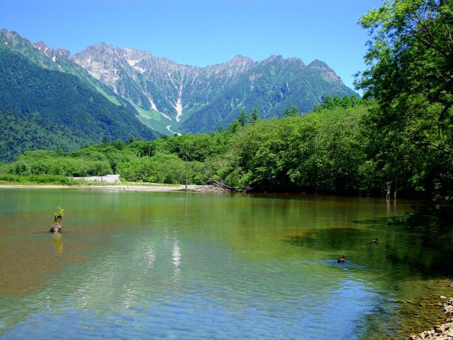 綺麗すぎる上高地9kmハイキング 大正池~明神池』上高地(長野県 綺麗すぎる上高地9kmハイキング 大正池~明神池』上高地(長野県