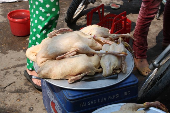 炎天下の中で腐る腐る