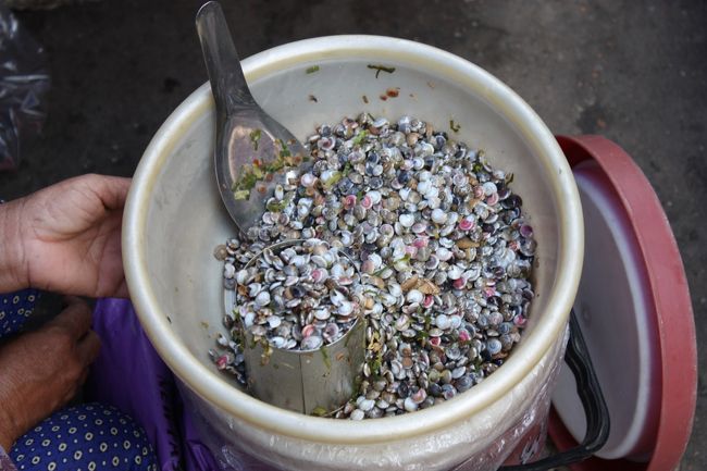 貝？？現地では、この中に入っている身を爪楊枝でほじって食べてた