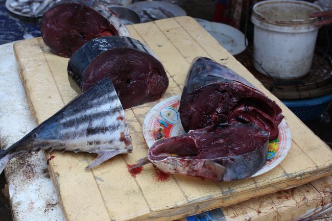 こんな魚もハサミで切ったりしてた。。。