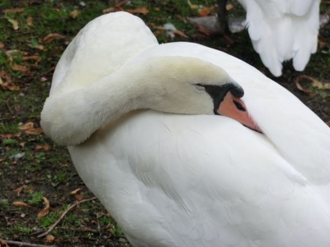 街中に出かけます・・・