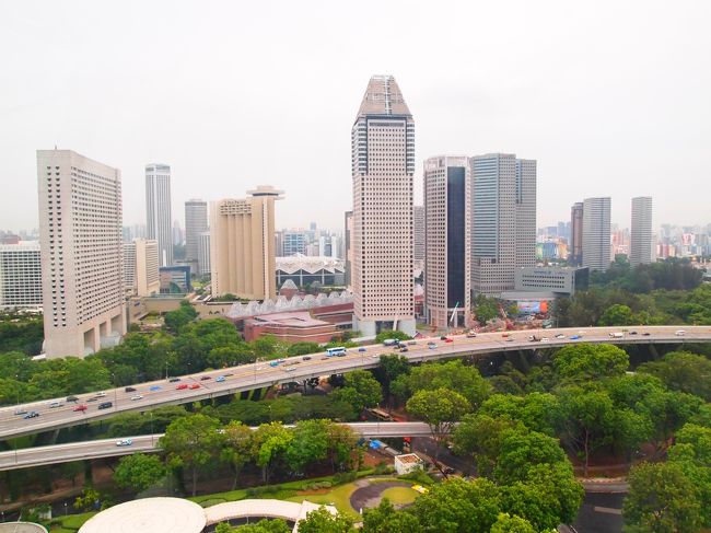 違う方向もパチリ。