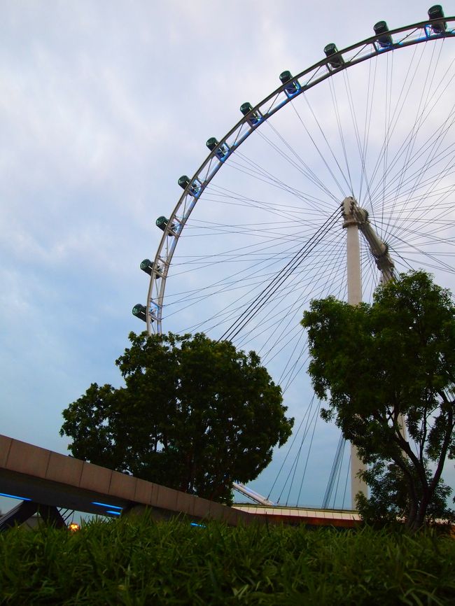 最後にシンガポールフライヤー。<br />今度は是非夜景を見てみたいです。<br /><br />ここから、Sちゃんのお父さんの運転で夕飯を食べに移動〜！！