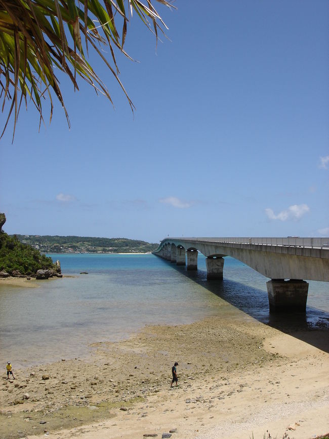 ２日目は車で古宇利大橋へ。ホテルからはだいたい１時間くらい。今回の旅行ではここが一番の思い出に残った場所でした。平日だからかもしれませんが、観光客もさほど多くなく、海が本当にキレイで橋の手前、橋の上に車を停めて見た景色は素晴らしかったです。古宇利島は車で１５分もあれば一周できる小さな島です。