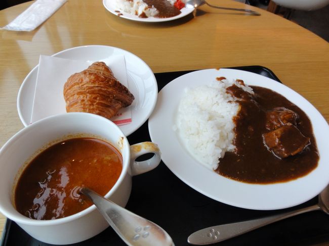 昼食をまともに食べていなかったので機内食までは<br />待ち切れずに名物のカレーとその他ちょびで夕食。<br />