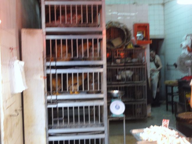 食材が「かなり新鮮な状態」で売られています〜　　笑