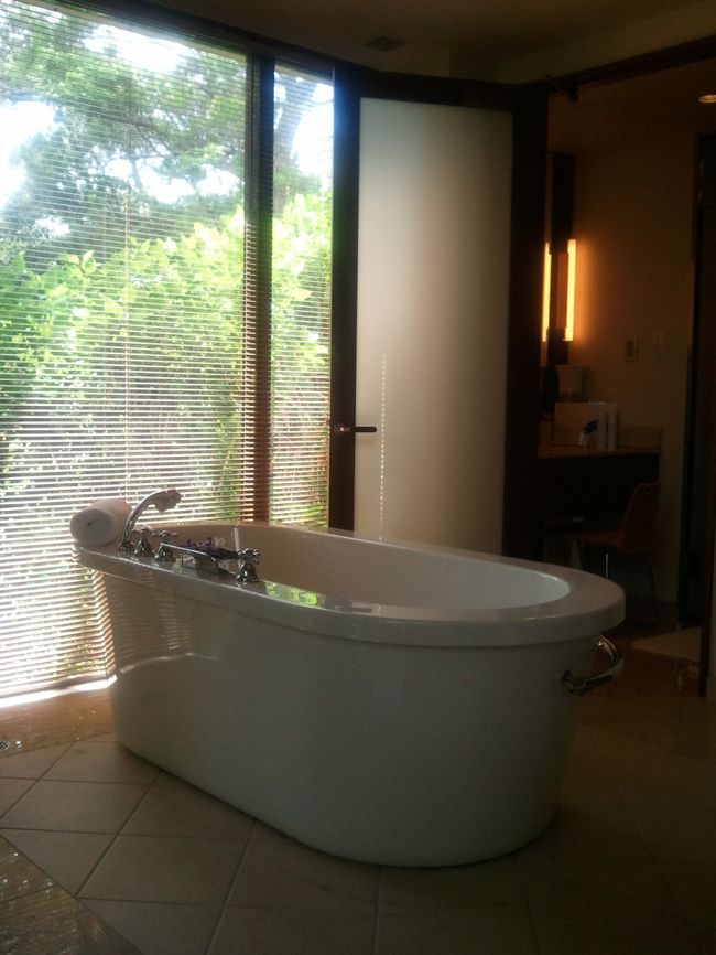 こちらはホテル内のクラブスパの内部。ミストサウナは結構暑くて、途中で出てしまった。