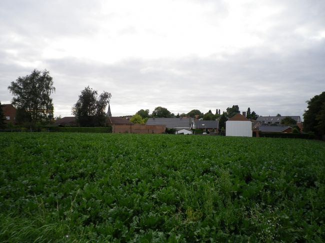 住宅街を抜けてフットパスを通りながら怒涛に迷い…<br /><br />車でちょこっと町を出て夕食を買ってきてB&amp;Bで食べました。