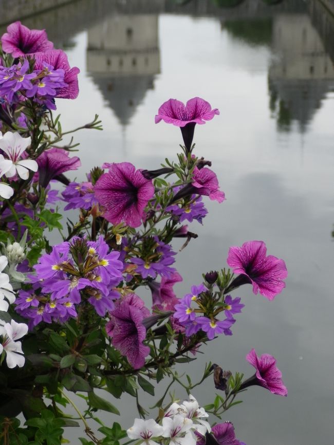 ここでしばし撮影大会^^*