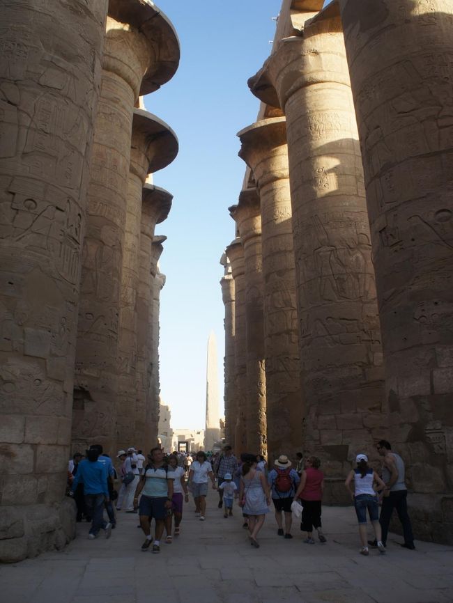 巨大な柱がたくさん立っています。