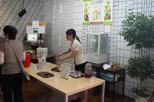 この日は月末棚卸とメンテで製造ラインは休止、残念。<br /><br />ビデオと案内担当の女性による説明で工場内を見学。<br />製造ラインは写真撮影NGなので写真はありません。<br /><br />約30分の見学後、養命酒などの試飲あり。<br />子供と運転手には500mlペットボトルのミネラル水が<br />頂けます。