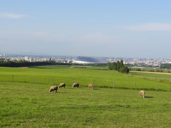 名前の通りひつじさんたちが草を食んでいます。<br /><br />遠くに札幌ドームが見えています。<br />ちなみにこの日は試合があったみたい。<br />球場のも近くが少し渋滞気味でした。<br />