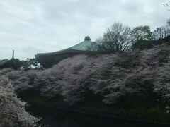 日本武道館が見えてきました。ここから千鳥ヶ淵の桜を見ながらのウォークをスタートしてみます。