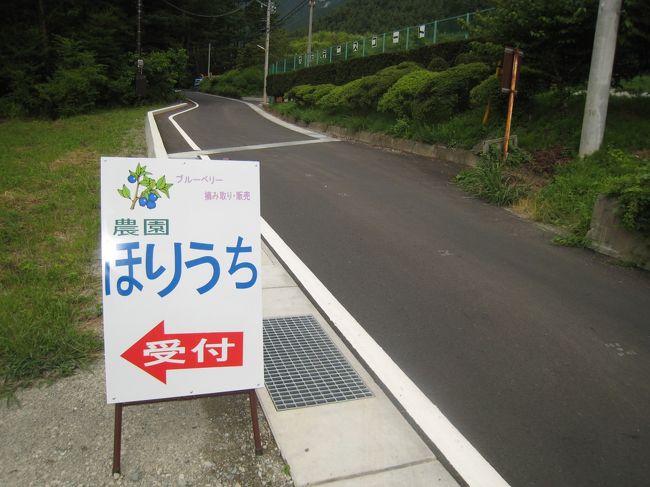 「ブルーベリー狩り」は農園ほりうちさんへ。<br />もう残り少ないからと入園料は格安でした。<br />通常は一人500円。大人4人と子供3人で1,300円。<br />いや、もう十分食べました。そんなに食べられないし。<br />お土産に600gで750円くらいだった。
