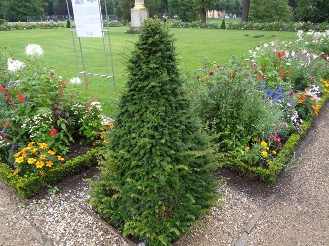 花壇のふちも植栽で作られているなんて・・・手間大変だろうな・・・