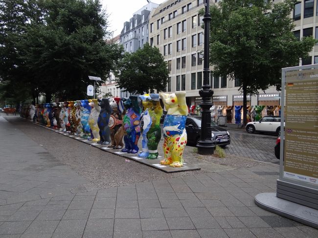 こんな風に並んでいます。あんまり注目されていないみたいでしたけど・・・