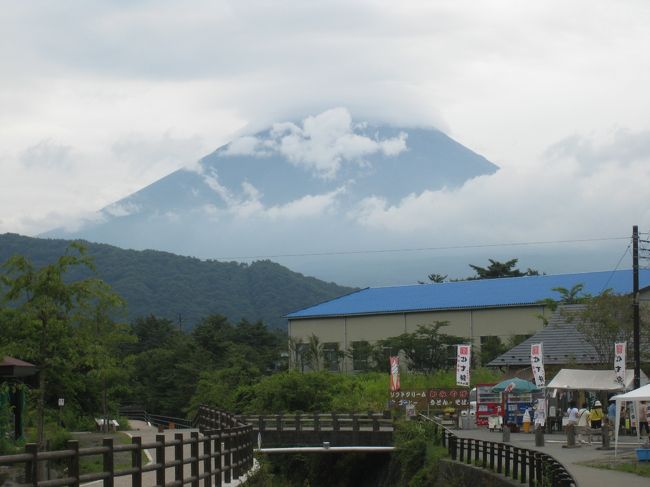 御殿場のヤクルト工場でも見学しようかと思いましたが、予約が取れませんでした。人気ですね。