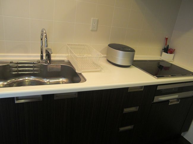 キッチンの流し台。