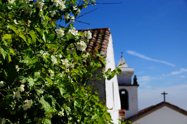 インフォメーションで地図をもらって<br />まずはカステッロ（城塞）に向かう。