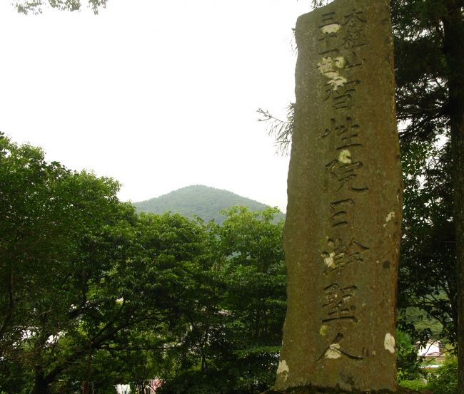 朝霧高原c 猪之頭から小田貫湿原・田貫湖へ ☆ヤマユリ/コオニユリ咲いて