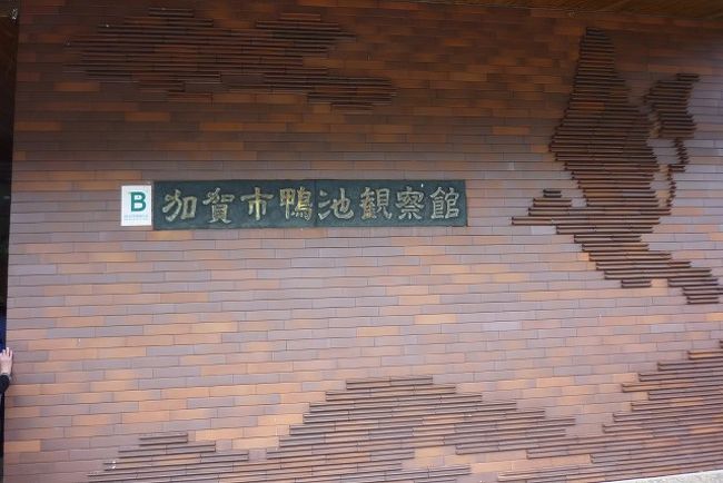 鴨池観察館へ行きました。