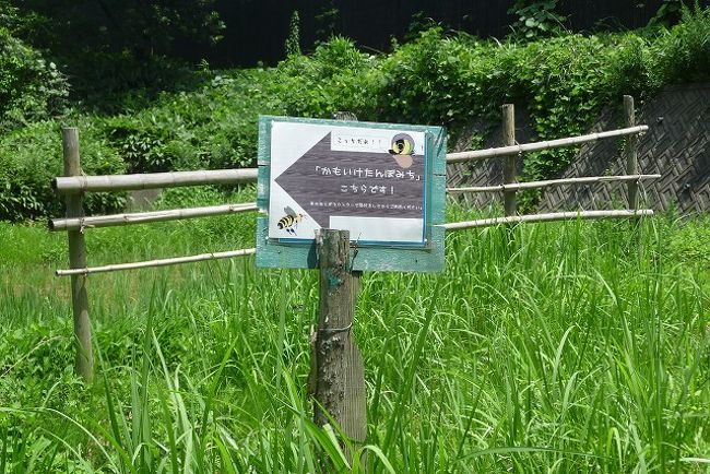 「かもいけ」たんぼ道へ