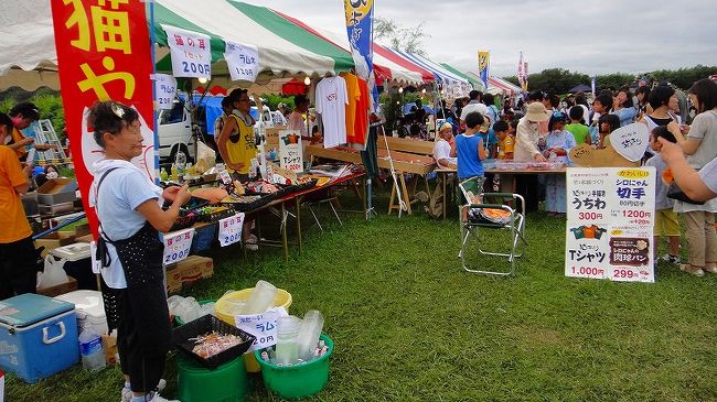 かんなみ 猫おどり 狩野川祭り 函南 静岡県 の旅行記 ブログ By Hn11さん フォートラベル